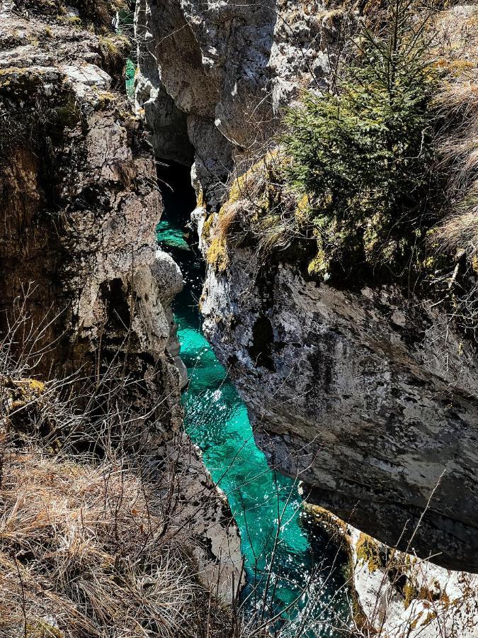 Apartments Mala Korita Soce Soča Exteriér fotografie