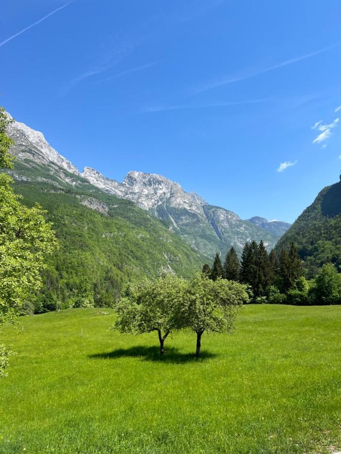 Apartments Mala Korita Soce Soča Exteriér fotografie
