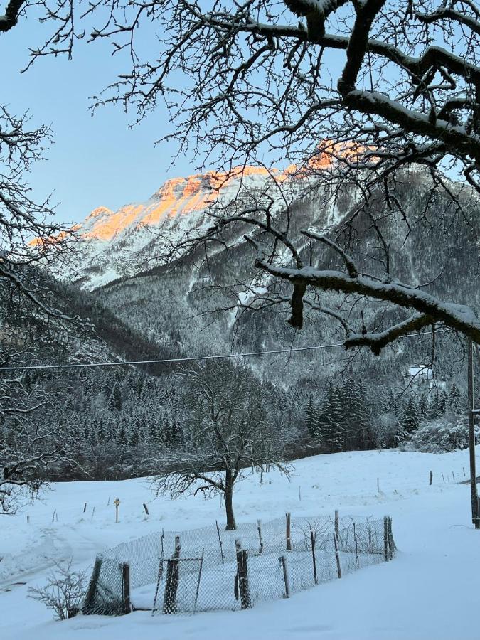 Apartments Mala Korita Soce Soča Exteriér fotografie