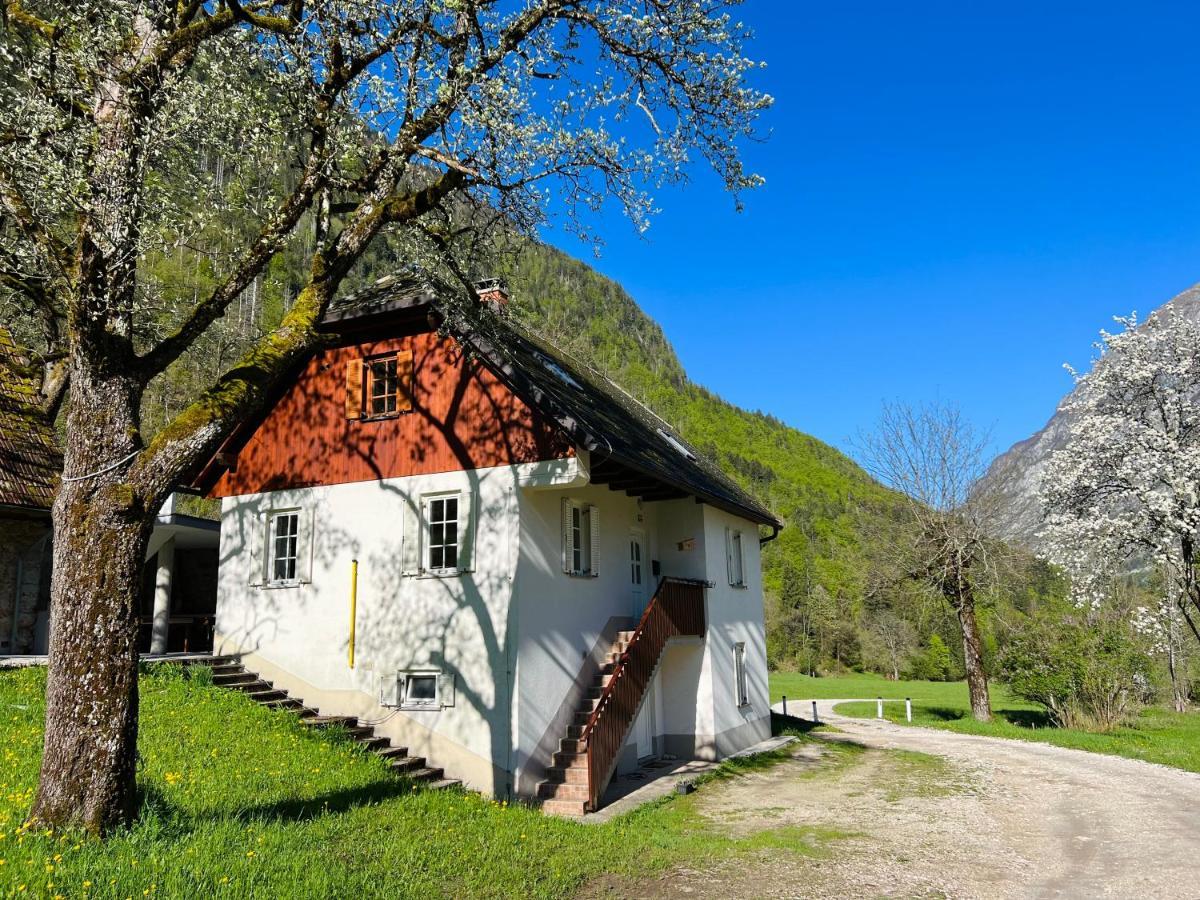 Apartments Mala Korita Soce Soča Exteriér fotografie