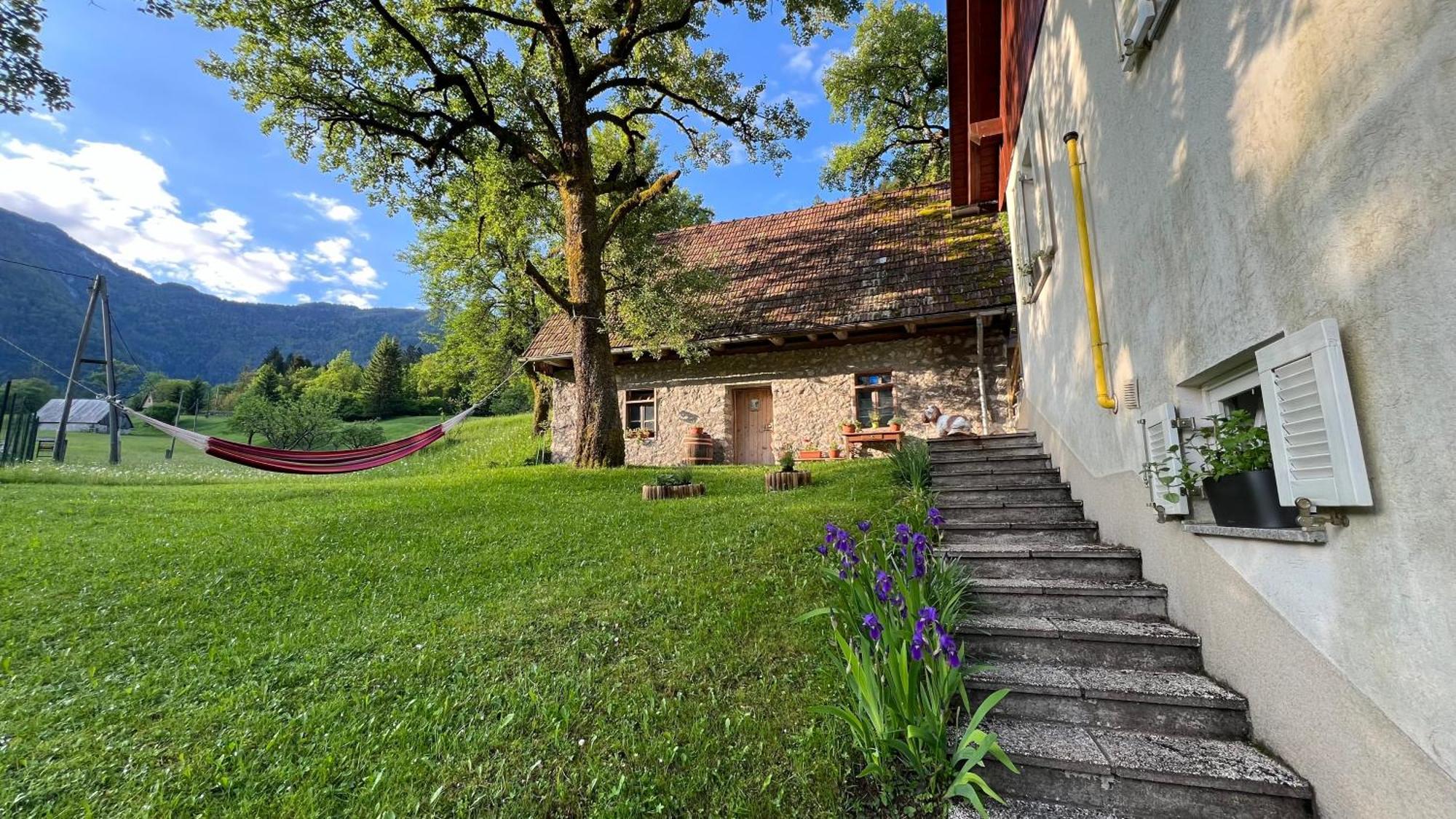 Apartments Mala Korita Soce Soča Exteriér fotografie