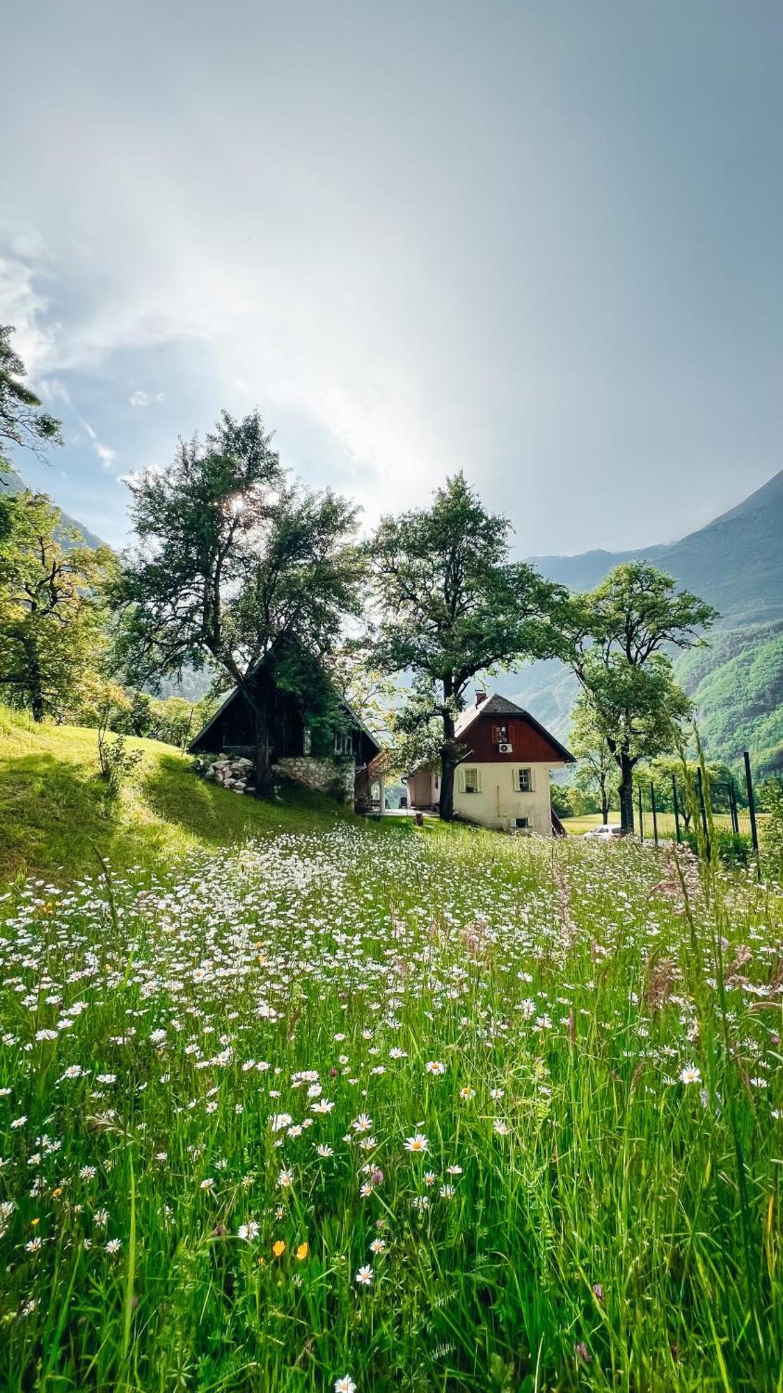 Apartments Mala Korita Soce Soča Exteriér fotografie