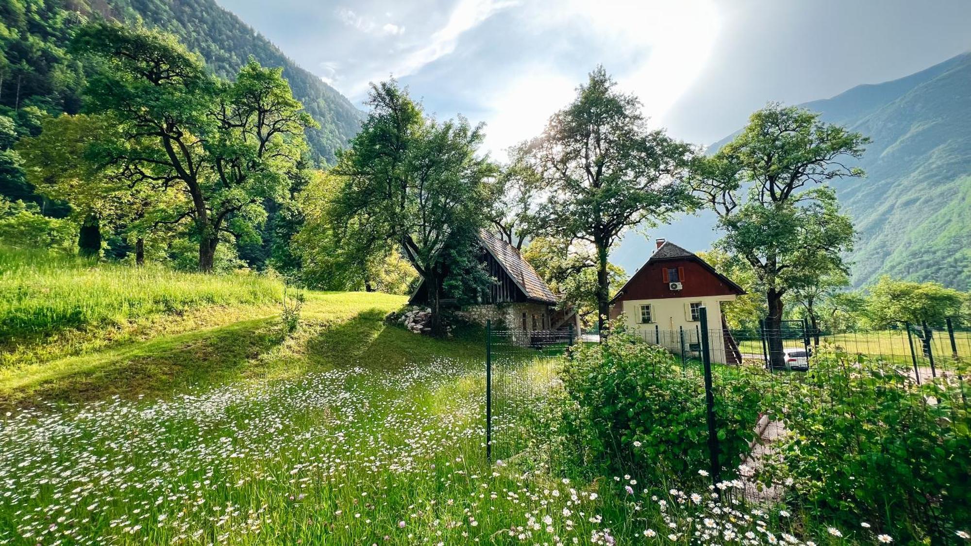 Apartments Mala Korita Soce Soča Exteriér fotografie