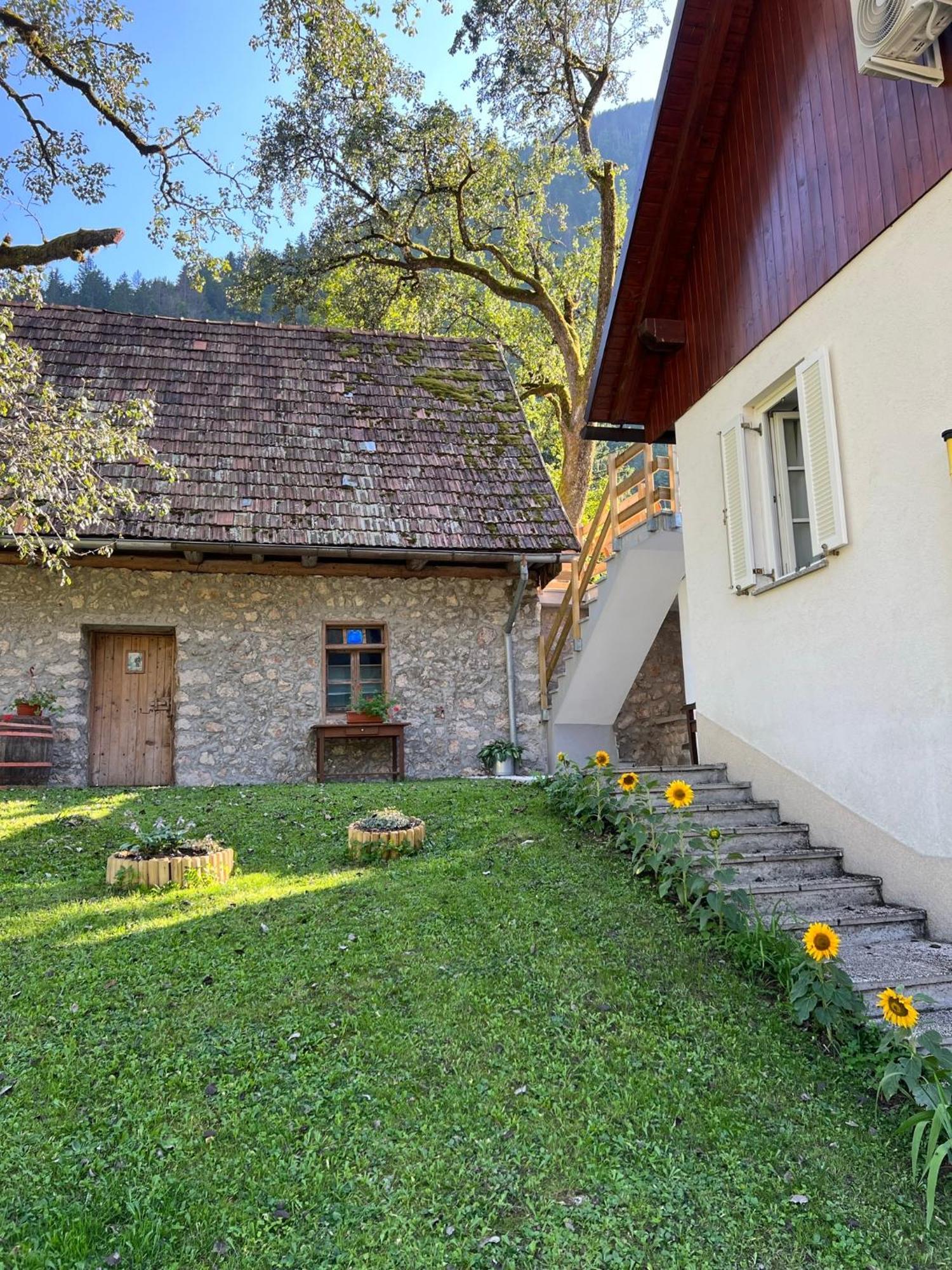 Apartments Mala Korita Soce Soča Exteriér fotografie