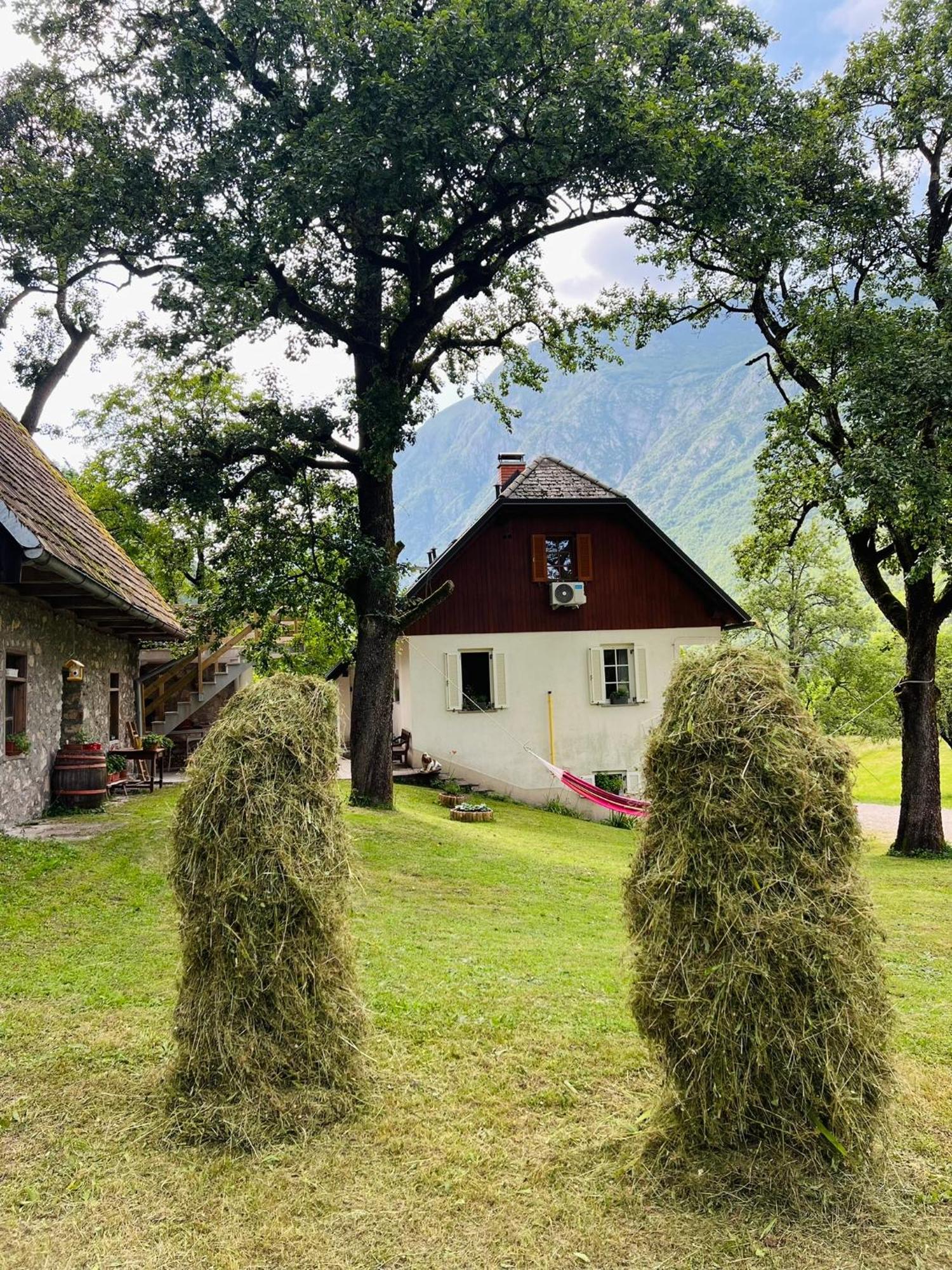 Apartments Mala Korita Soce Soča Exteriér fotografie