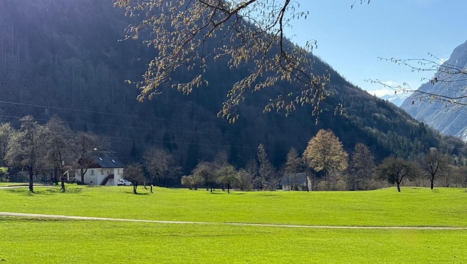 Apartments Mala Korita Soce Soča Exteriér fotografie