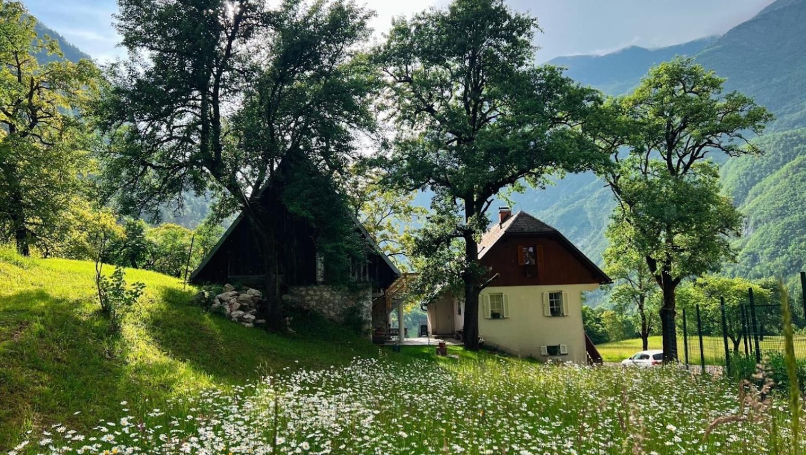 Apartments Mala Korita Soce Soča Exteriér fotografie